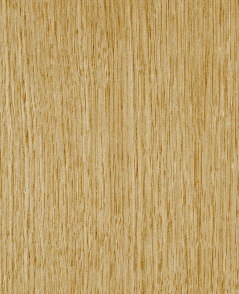 Chene rift - Quercus