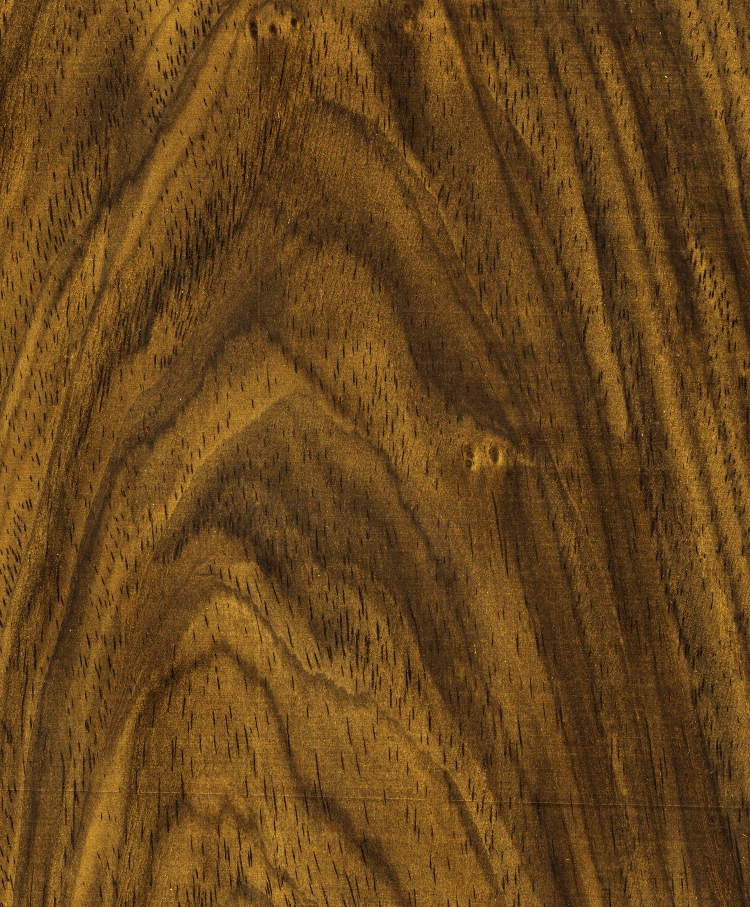 Cocobolo