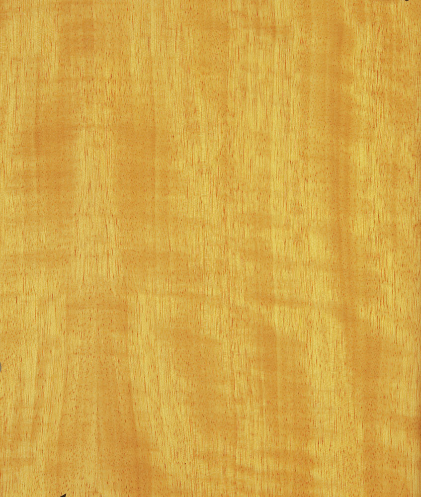 Movingui - Distemonanthus benthamianus